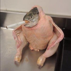 Meet your Posher, Matthew